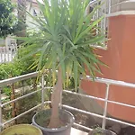 Hotel Aloe Apart
