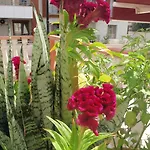 Otel Aloe Apart Marmaris