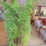 Otel Aloe Apart Marmaris