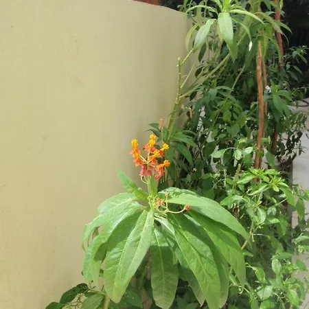 Aloe Apart 3* Marmaris