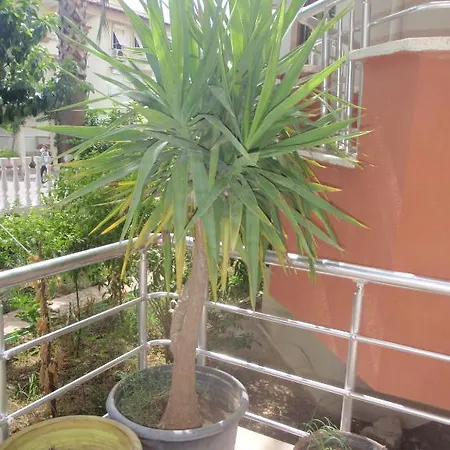 Hotel Aloe Apart