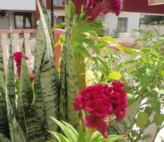 Hotel Aloe Apart Marmaris