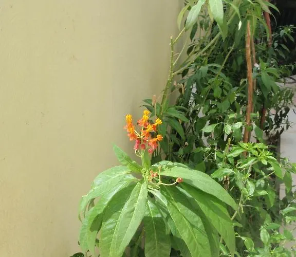 Aloe Apart 3* Marmaris