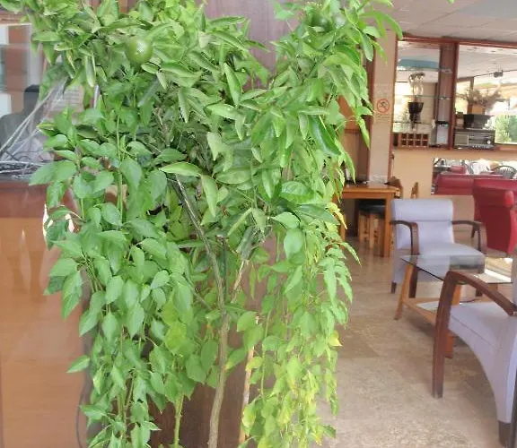 Szálloda Aloe Apart Marmaris